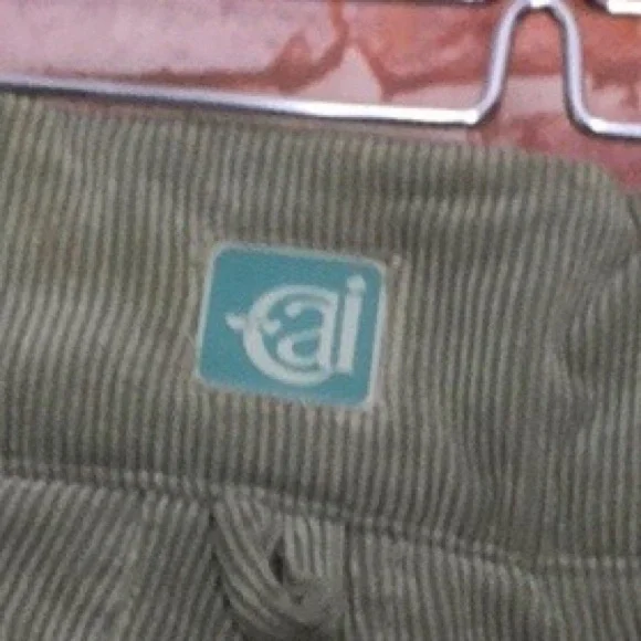 Cold As Ice Moss Green Brushed Corduroy Ski and  Snowboard Pants - Picture 6 of 10